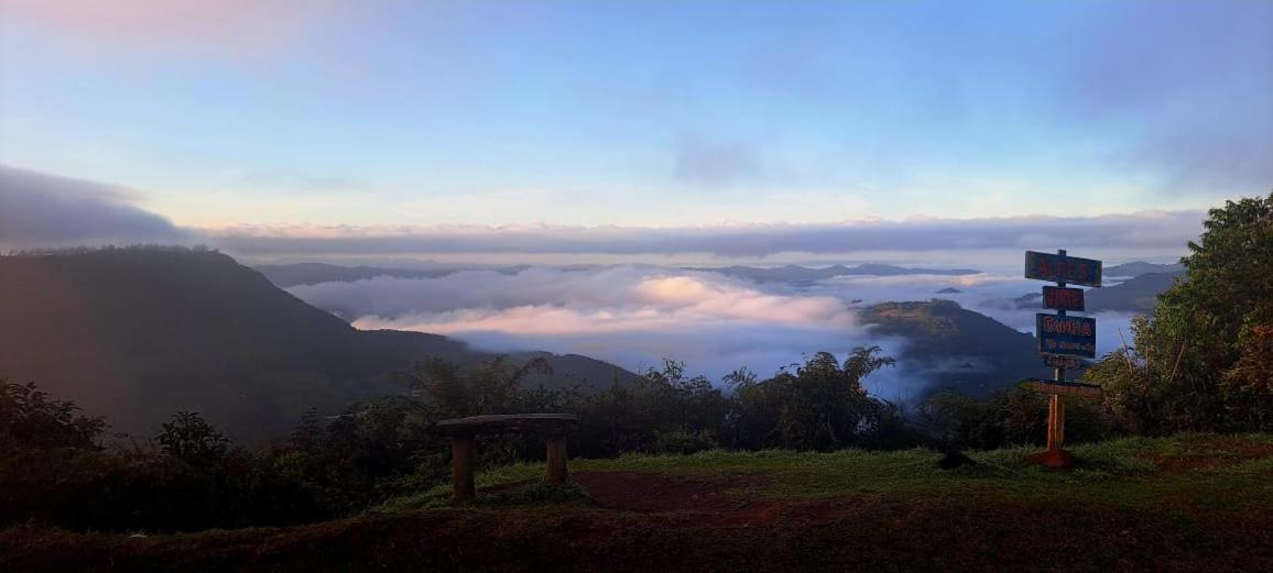 Homestay Master Vista Vale Em *